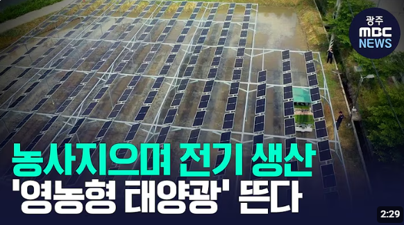 영농형 태양광 관련 방송 보도 캡쳐